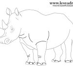 Картинки носорог для детей нарисованные   рисунки028
