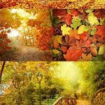Фото осень в парке природа — красивые картинки