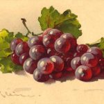 Картинки для декупажа фрукты и ягоды 016