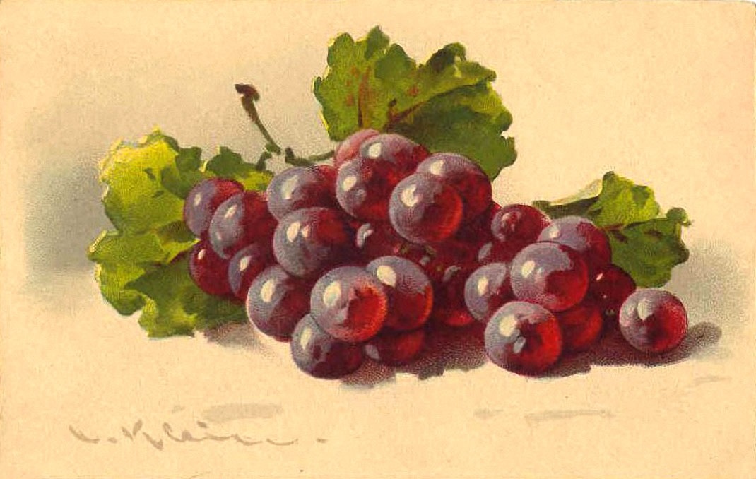 Картинки для декупажа фрукты и ягоды 016