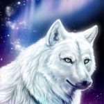 Фото белый волк с голубыми глазами 012