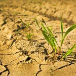 17 июня Всемирный день борьбы с опустыниванием и засухой — интересная сборка