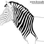 Как рисовать полоски зебры019