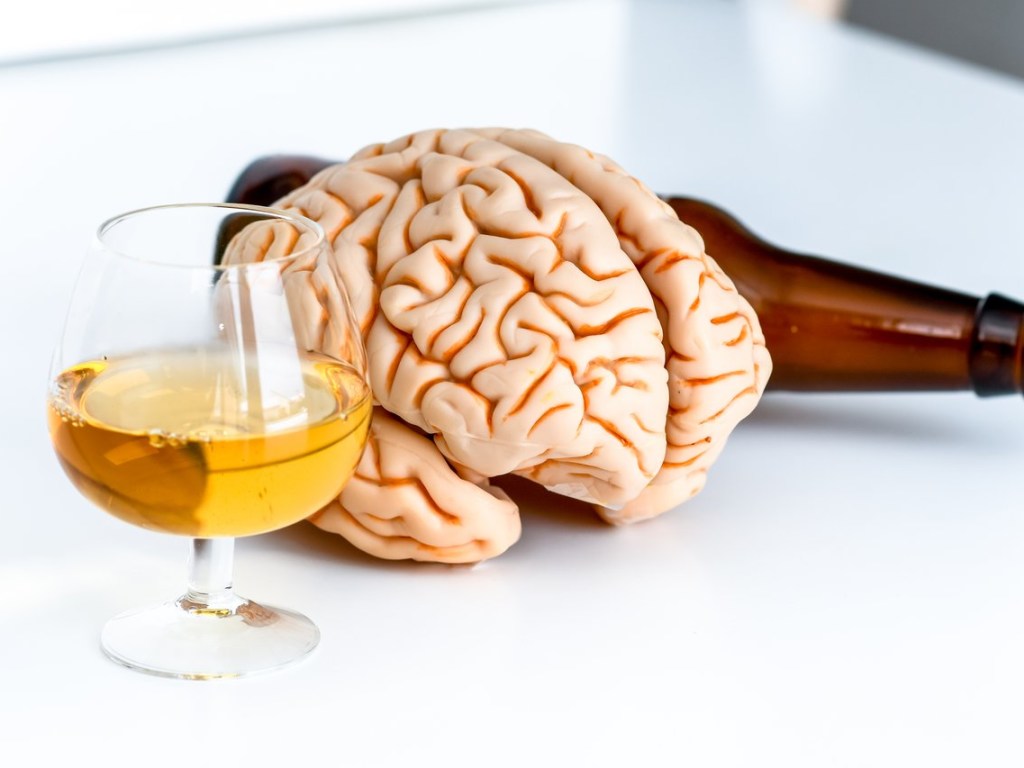 Как алкоголь влияет на мозг