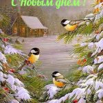 Лучшие открытки с добрым утром февраля на зиму (9)