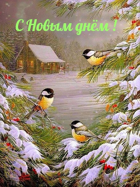Лучшие открытки с добрым утром февраля на зиму (9)
