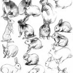 Милые рисунки кролика для скетчбука