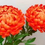 Картинки для аватарок с цветами хризантем 013