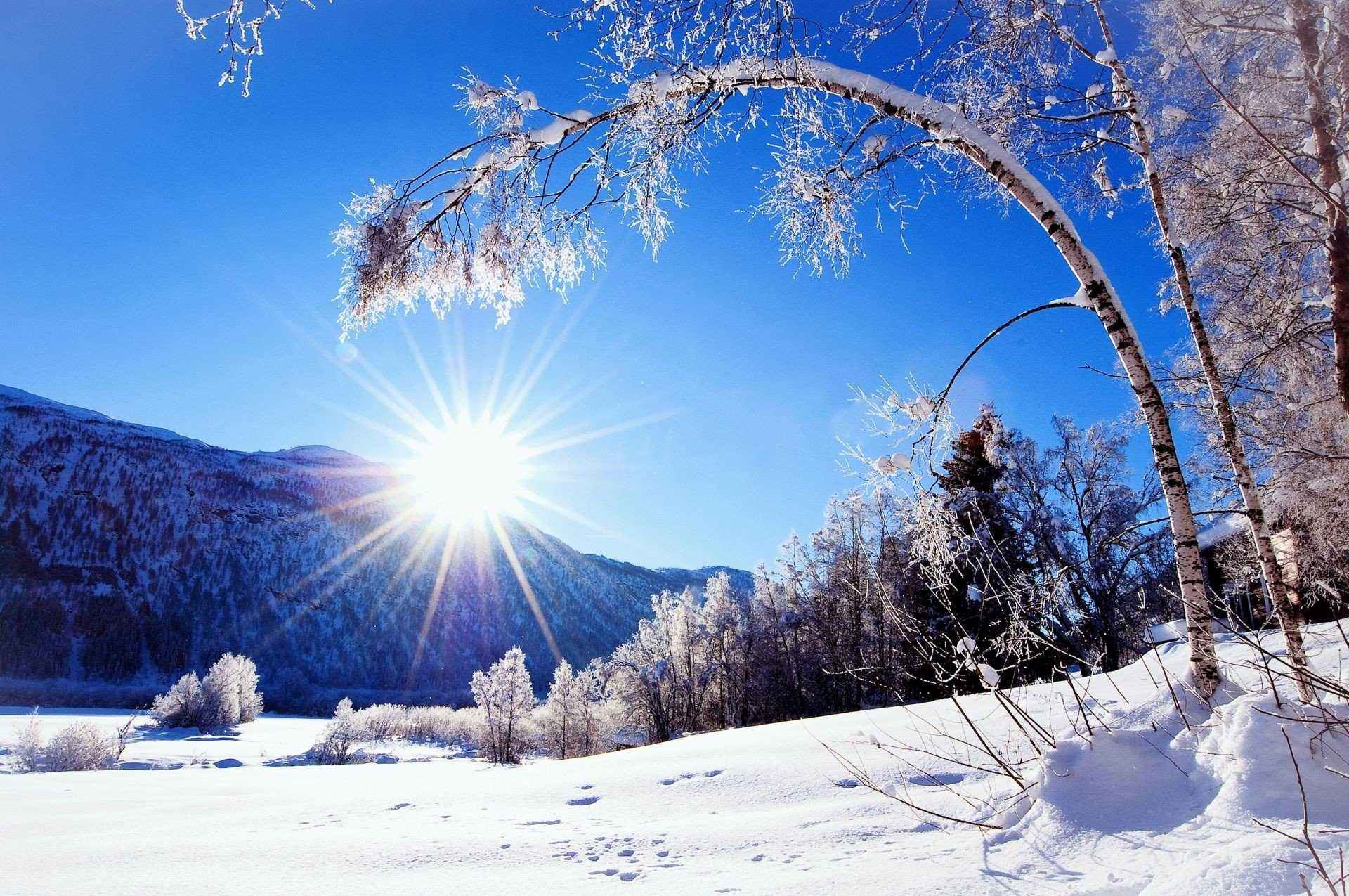 Красота зимнего утра на фото 014
