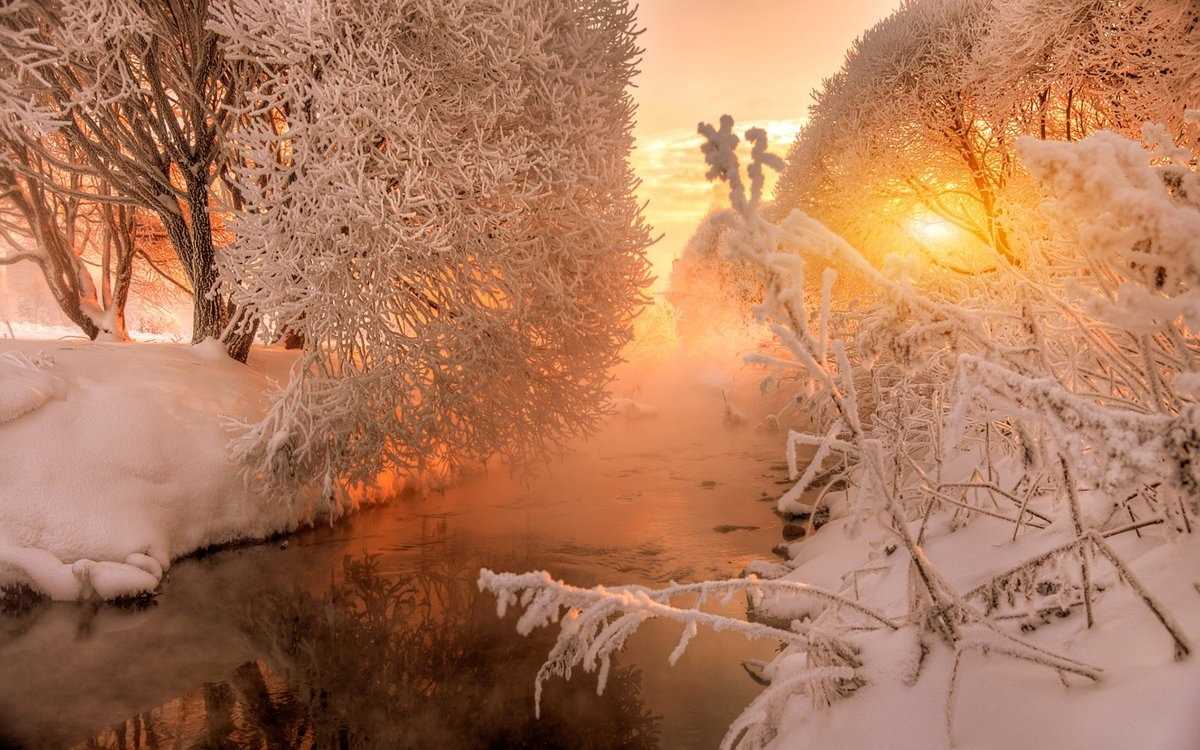 Утренние фотографии зимней природы 016