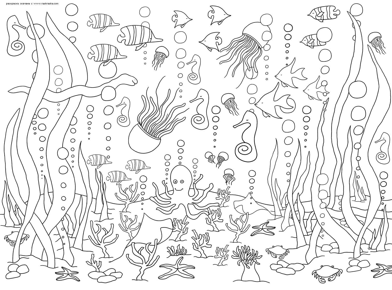 Чудесные раскраски для детей с морскими животными 020