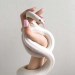 Для телефона белая змея обои