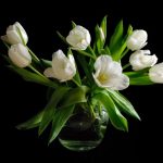 Белые тюльпаны в вазе 9