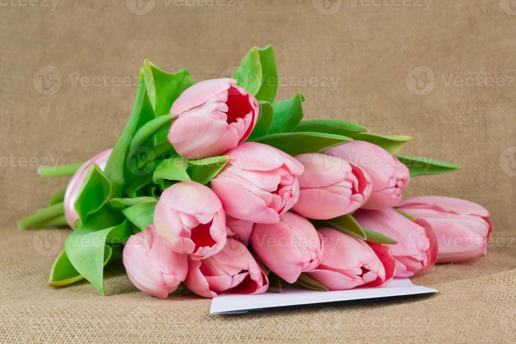 Белые тюльпаны с розовой лентой 9