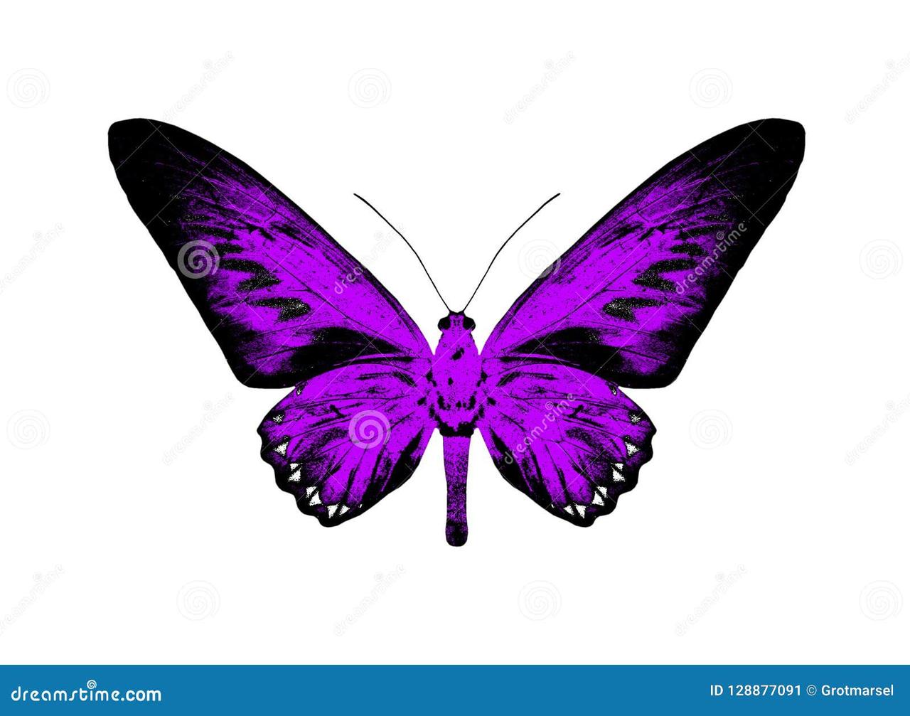 Фиолетовая бабочка, на которой написано слово «рак» 9