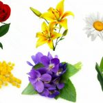 Очень красивые детские и интересные картинки цветов для детей - сборка 14