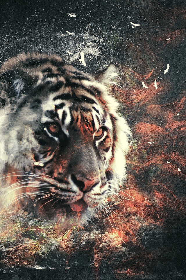 Красивые и крутые картинки тигра на заставку телефона - подборка 9