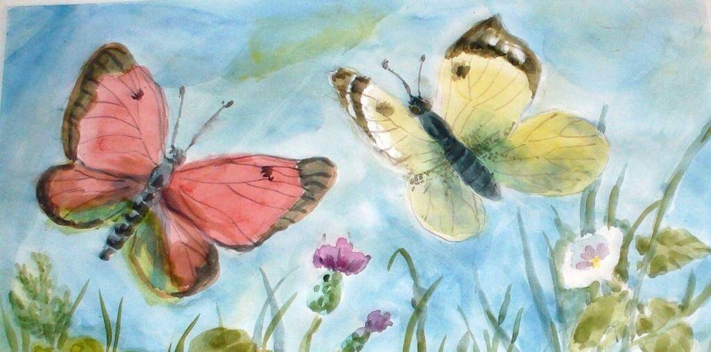 Красивые рисунки, картинки бабочки для детей - коллекция 11