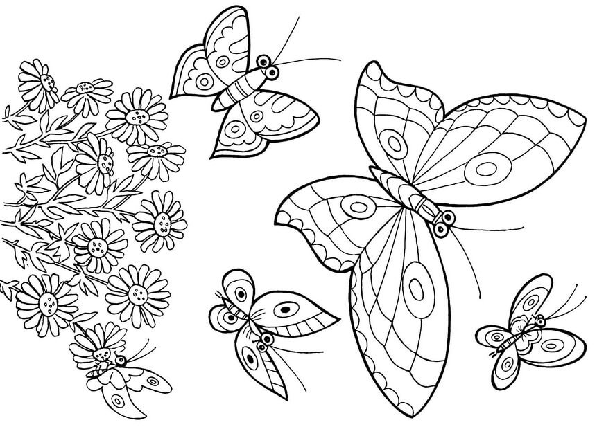 Красивые рисунки, картинки бабочки для детей - коллекция 13