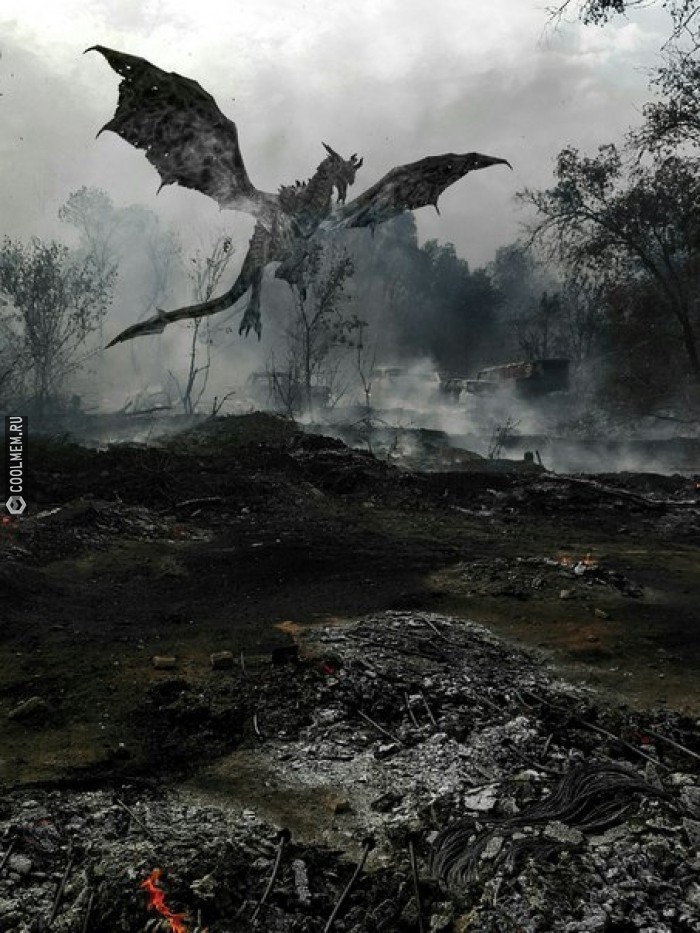 Существуют ли драконы в реальной жизни сейчас фото