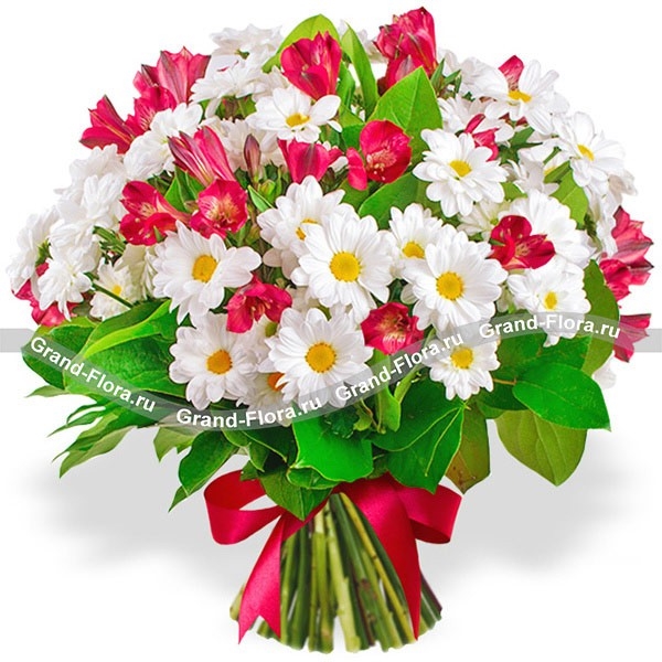 Букеты с альстромерией и хризантемами   красивые цветы 001
