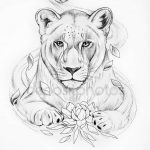 Картинка лев для детей нарисованные   рисунки 028
