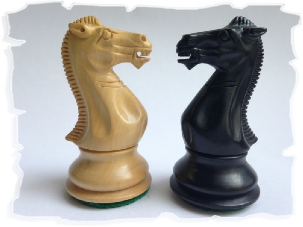 Картинка шахматный конь для детей018