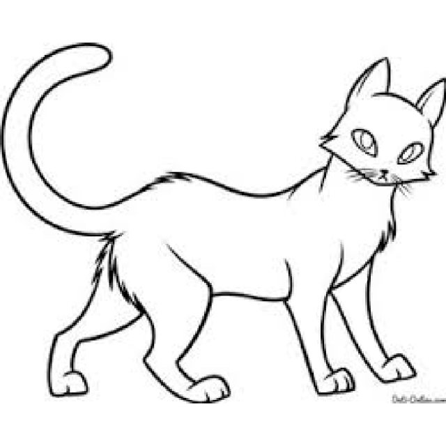 Картинки кошки карандашом для срисовки  подборка006