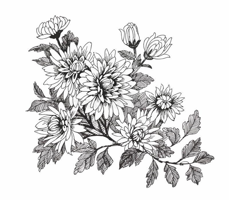 Картинки цветы нарисованные черно белые и фото021