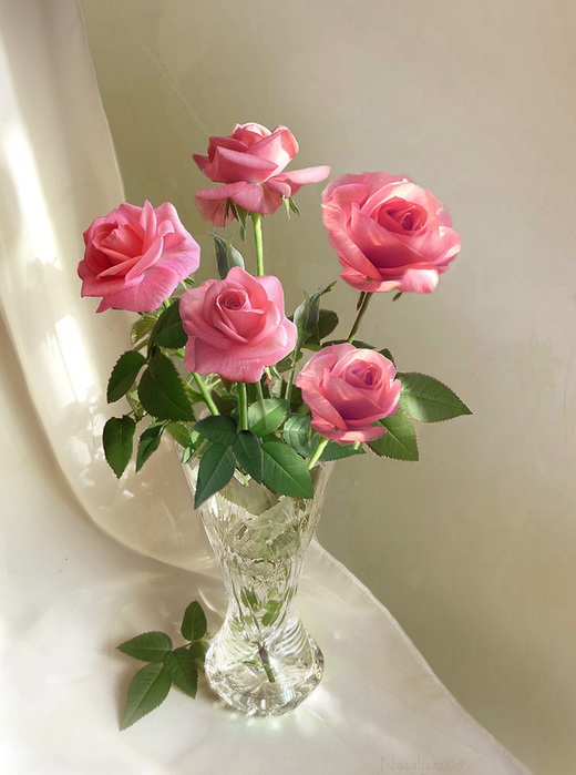 Красивые цветы в вазах фото016