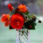 Красивые цветы в вазах фото022