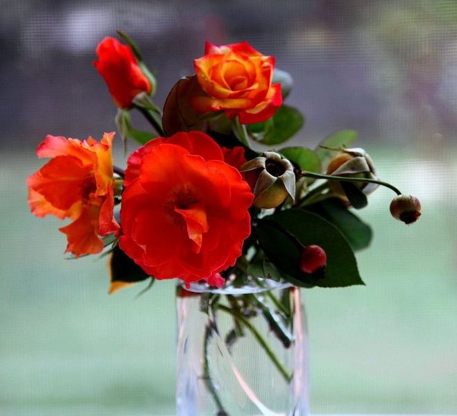 Красивые цветы в вазах фото022