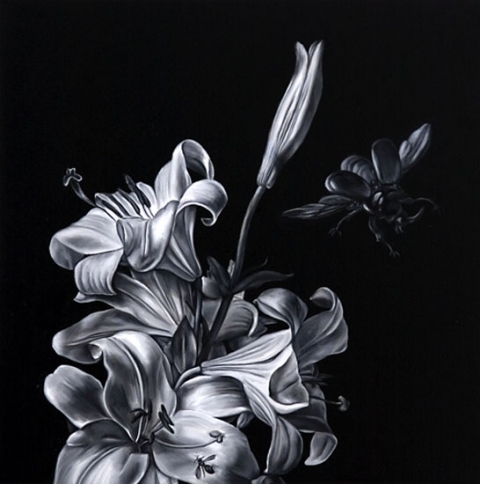 Красивые черно белые картинки цветы021