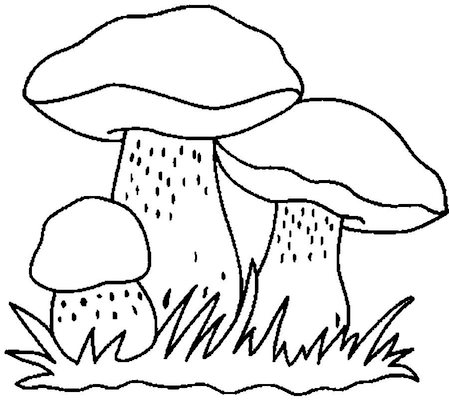 Картинка раскраска грибочки для детей   рисунок019