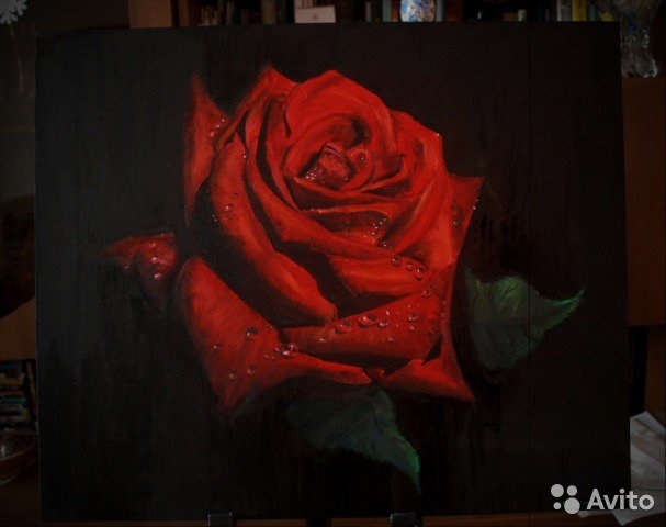 Картинка розы на черном фоне и фото018