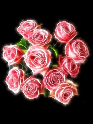 Картинка розы на черном фоне и фото019