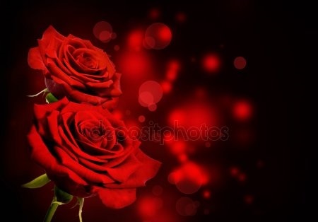 Картинка розы на черном фоне и фото020