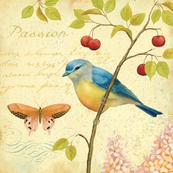 Картинки для декупажа с птицами   красивые010