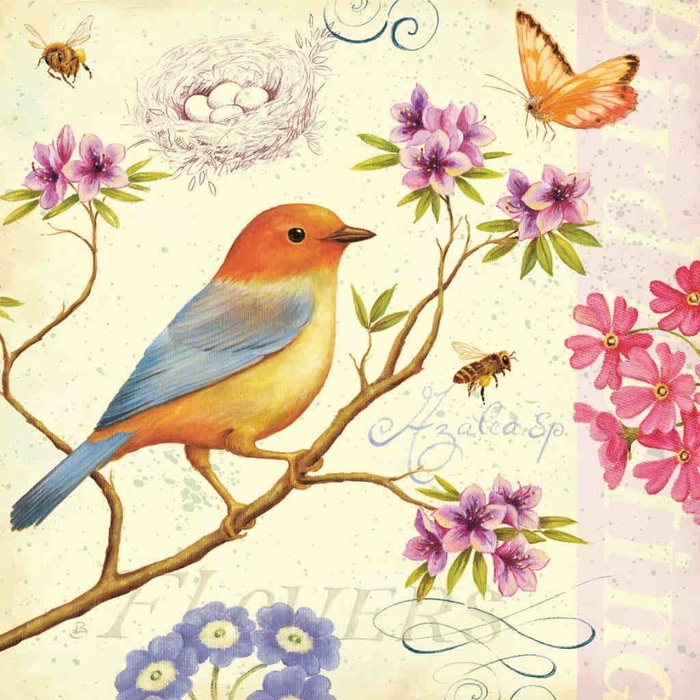 Картинки для декупажа с птицами   красивые015