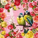 Картинки для декупажа с птицами   красивые019
