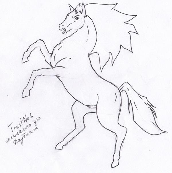 Картинки лошади для срисовки карандашом   подборка001