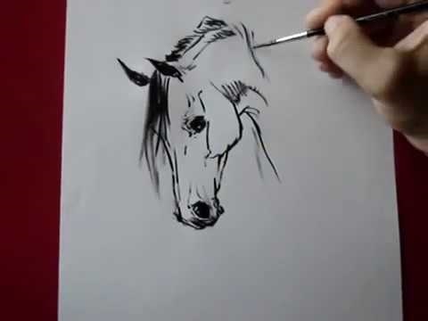 Картинки лошади для срисовки карандашом   подборка007
