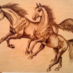 Картинки лошади для срисовки карандашом — подборка