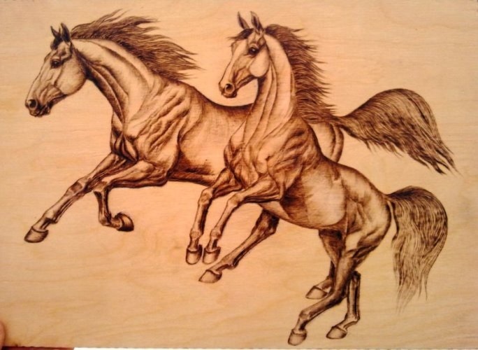 Картинки лошади для срисовки карандашом   подборка019