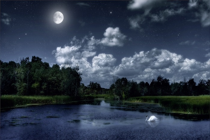 Картинки ночная природа   красивые фото009