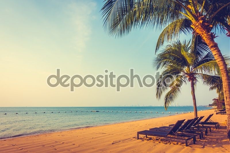 Море пальмы картинка   красивые фото005
