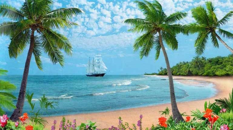 Море пальмы картинка   красивые фото012