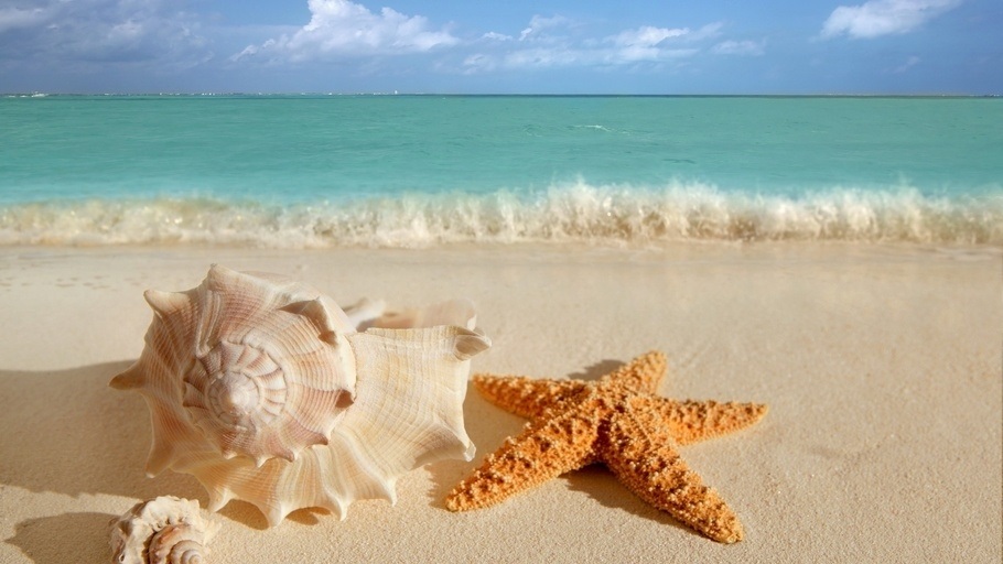 Море пальмы картинка   красивые фото021