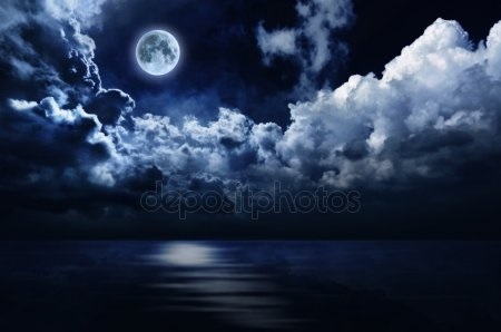 Ночной луг картинки   красивые фото004