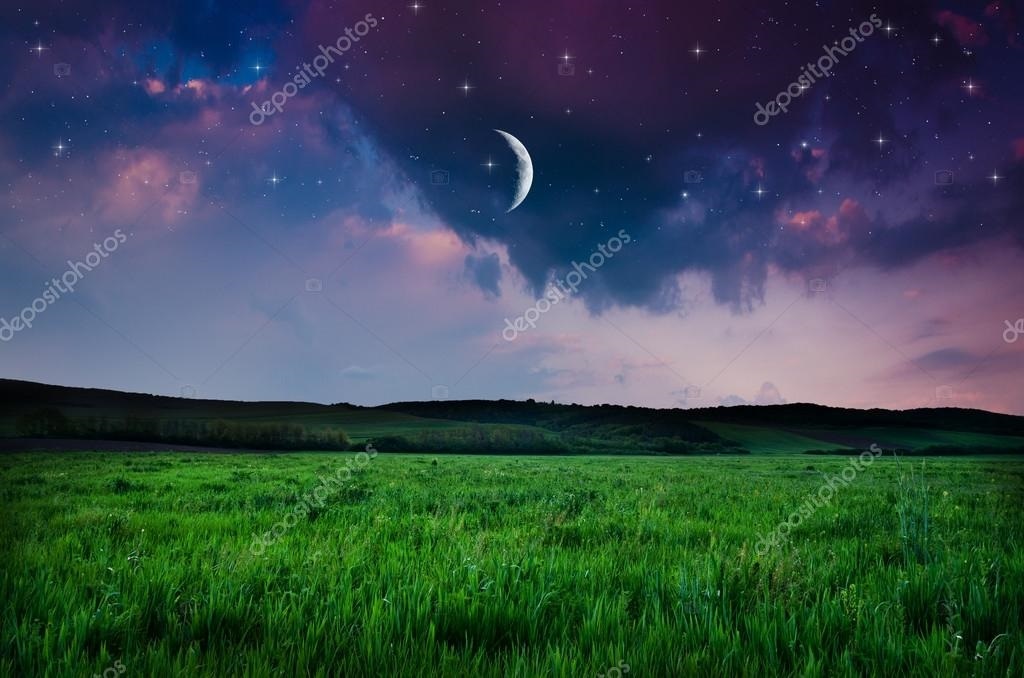 Ночной луг картинки   красивые фото019